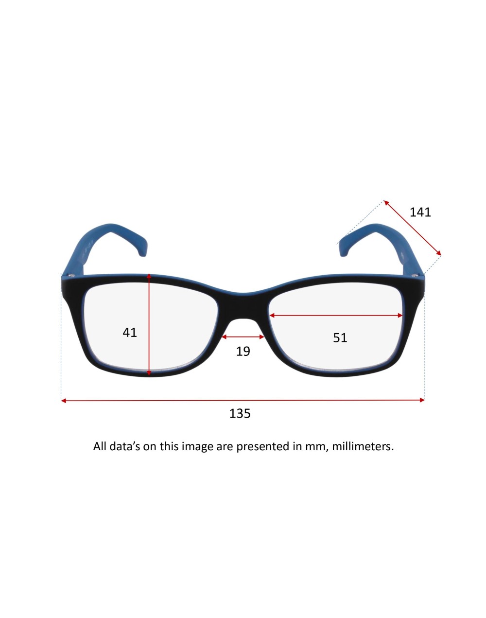 BLACK & BLUE - Lunettes Loupes de Lecture Homme