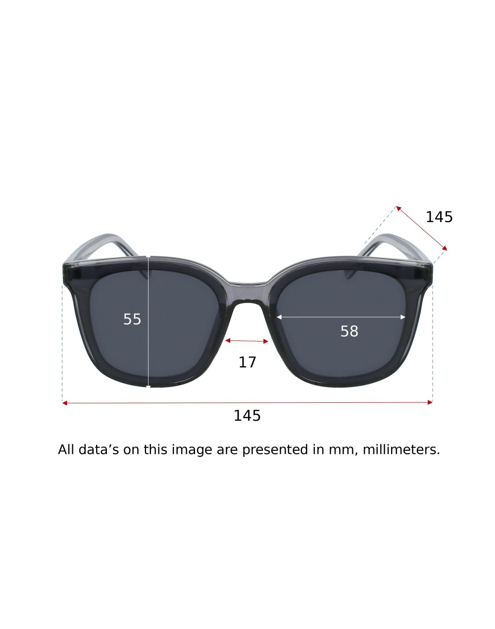 SUN BLACK TRANSPARENT - Sunglasses