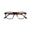 BRAD Brown Turtle - Lunette Screen Protect