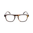 BRAD Brown Turtle - Lunette Screen Protect