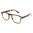 BRAD Brown Turtle - Lunette Screen Protect