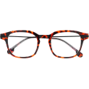 Billy Turtle - Reading glasses