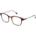 Billy Turtle - Reading glasses