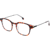 Billy Turtle - Lunettes de lecture