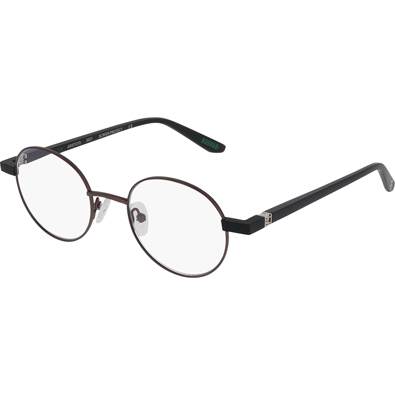Aristote Bronze - Lunettes de lecture & Screen protect