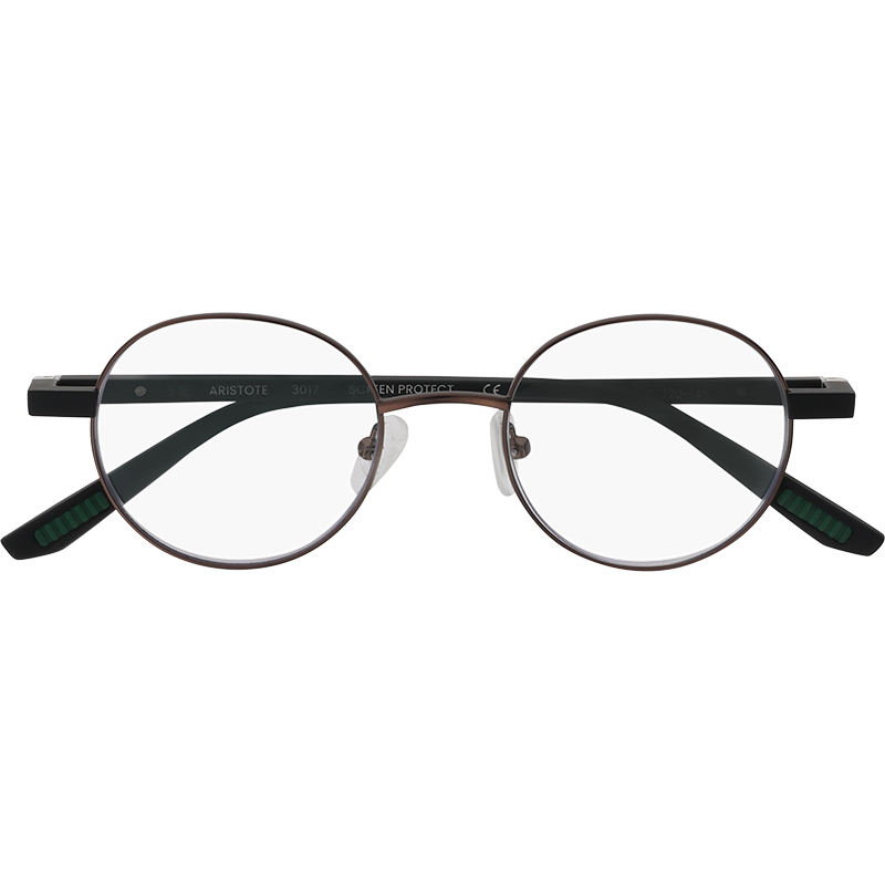 Aristote Bronze - Lunettes de lecture & Screen protect