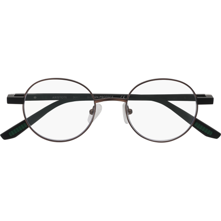 Aristote Bronze - Lunettes de lecture & Screen protect