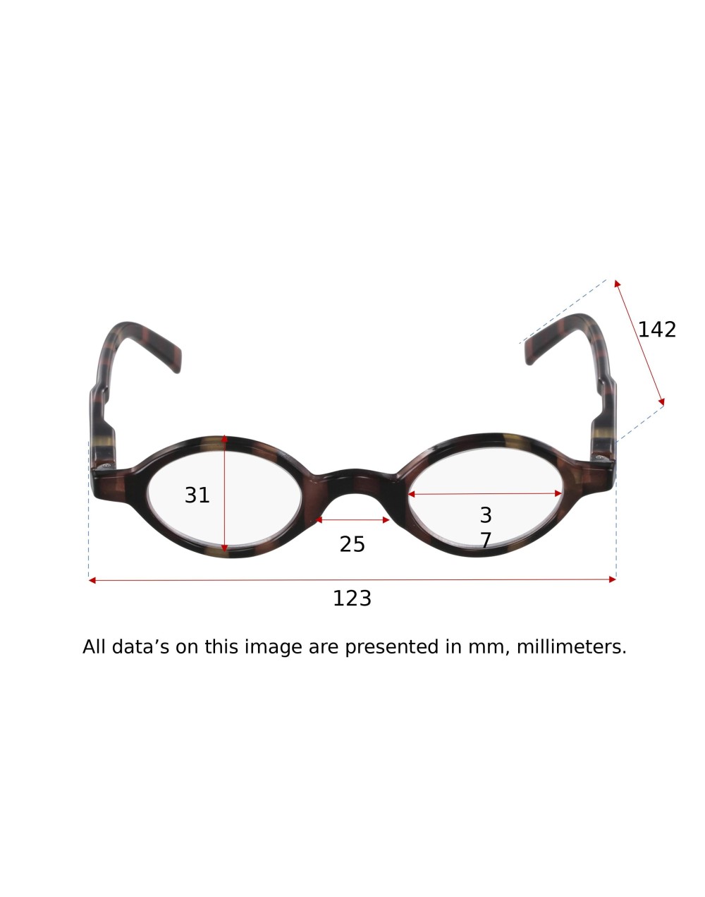 LITTLE BROWN - Lunettes Loupes de Lecture Homme